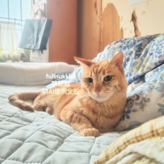 �{���̃`���g������