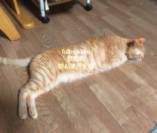 �[���