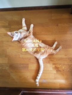 �˂������Ă�